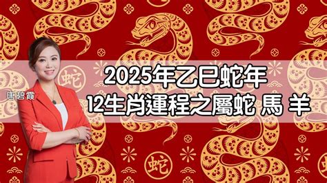 2025蛇年運程|屬鼠2025蛇年運程